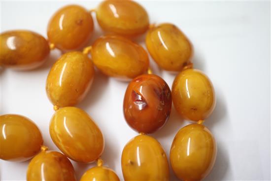 A single strand amber bead necklace, 76cm.